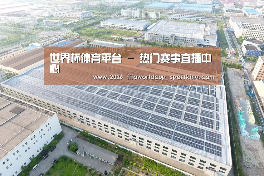 案例展示二