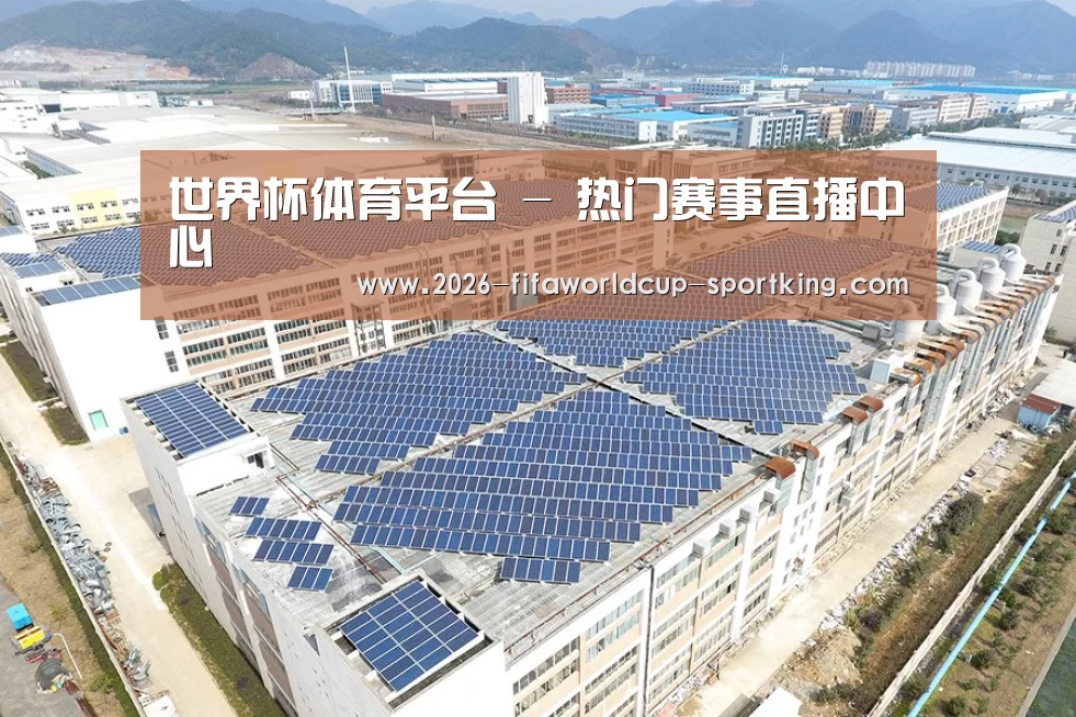 案例展示四