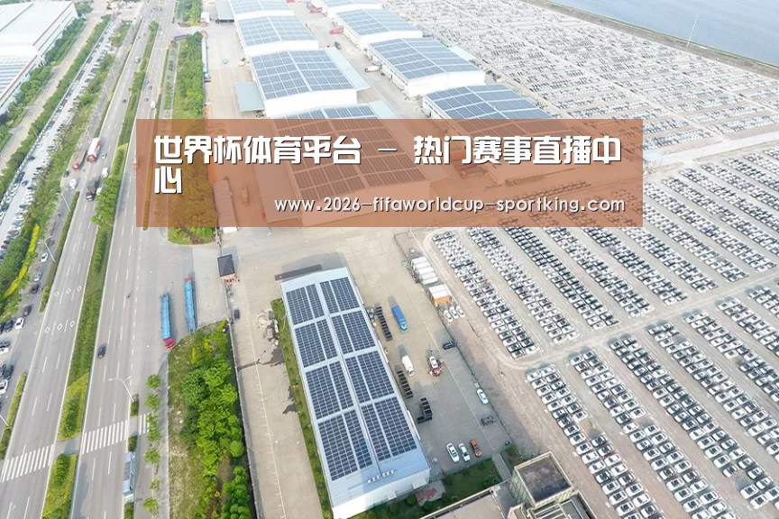 案例展示四