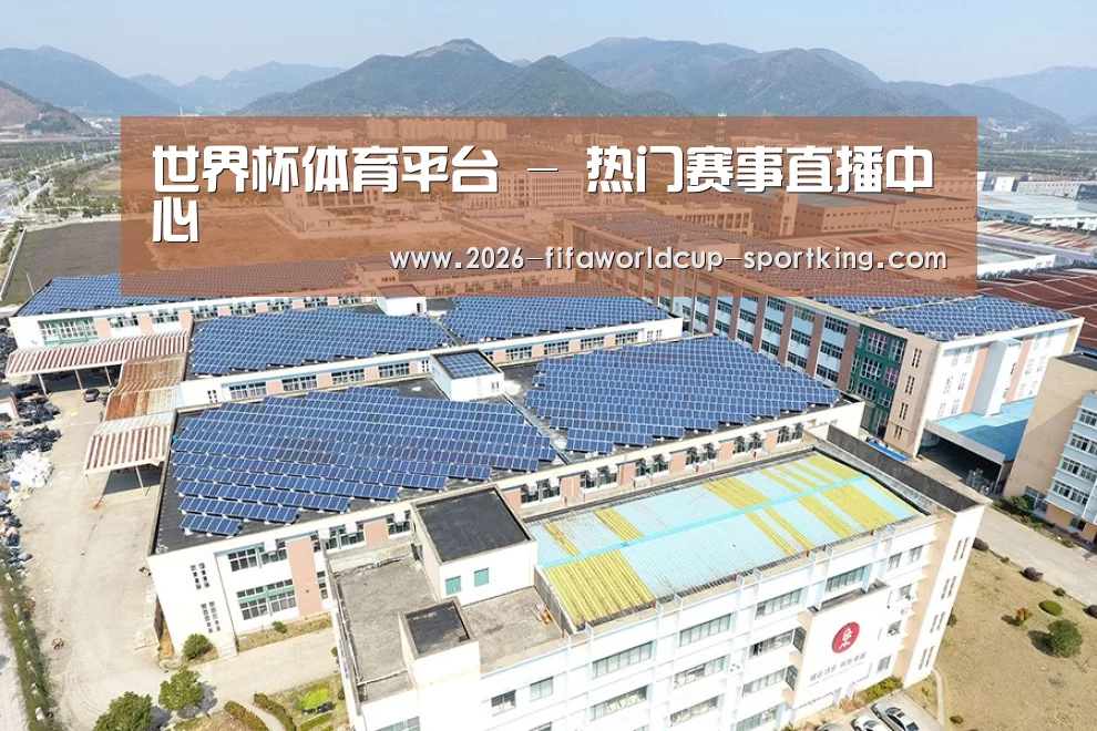 案例展示三