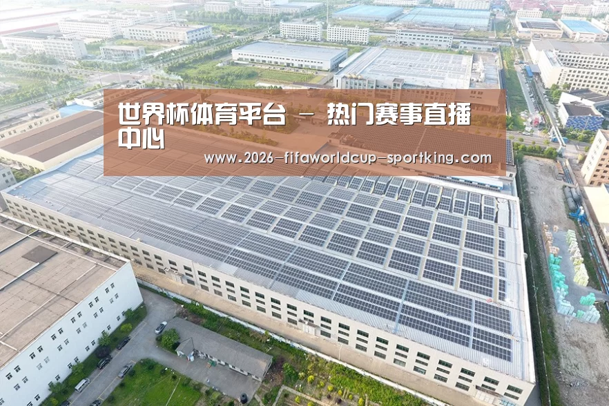 案例展示四