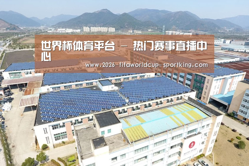案例展示三