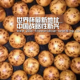 世界杯最新地址_中国战略性新兴产业的技术创新现状的研究(图2) 世界杯最新地址