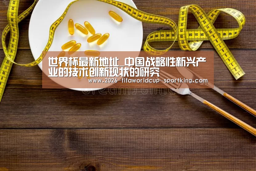 世界杯最新地址_中国战略性新兴产业的技术创新现状的研究(图4) 世界杯电竞平台