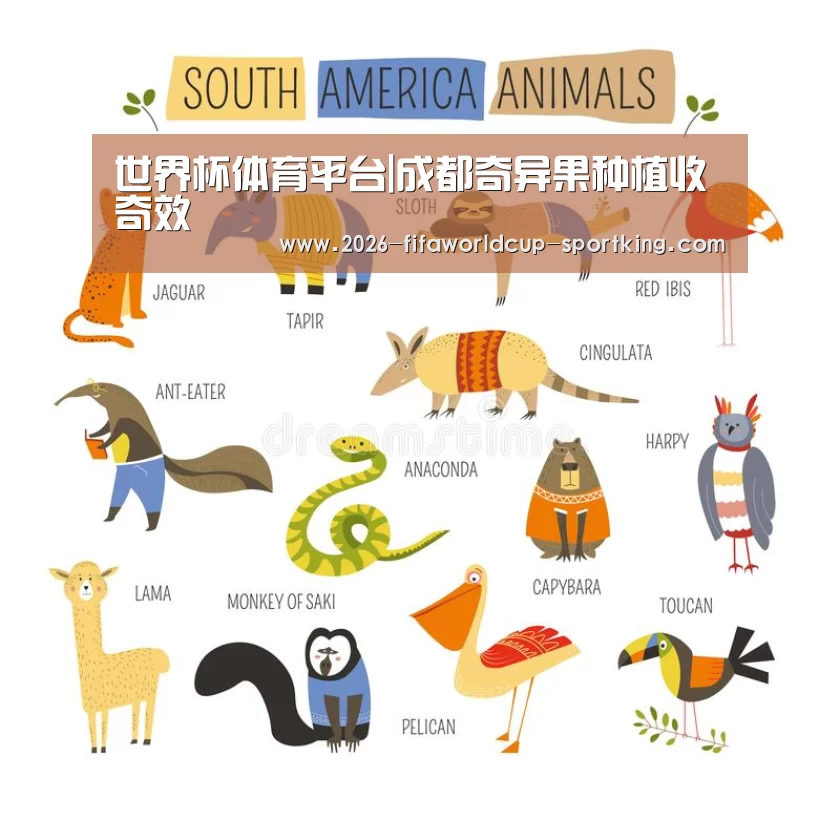 世界杯体育平台|成都奇异果种植收奇效(图2) 世界杯电竞平台